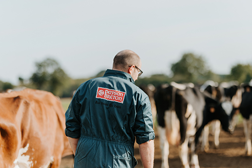 éleveur paysan breton