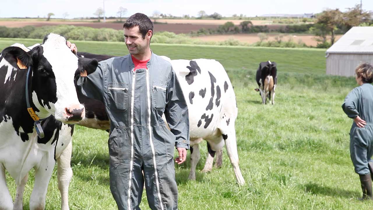 Roland éleveur Paysan Breton avec ses vaches au pâturage