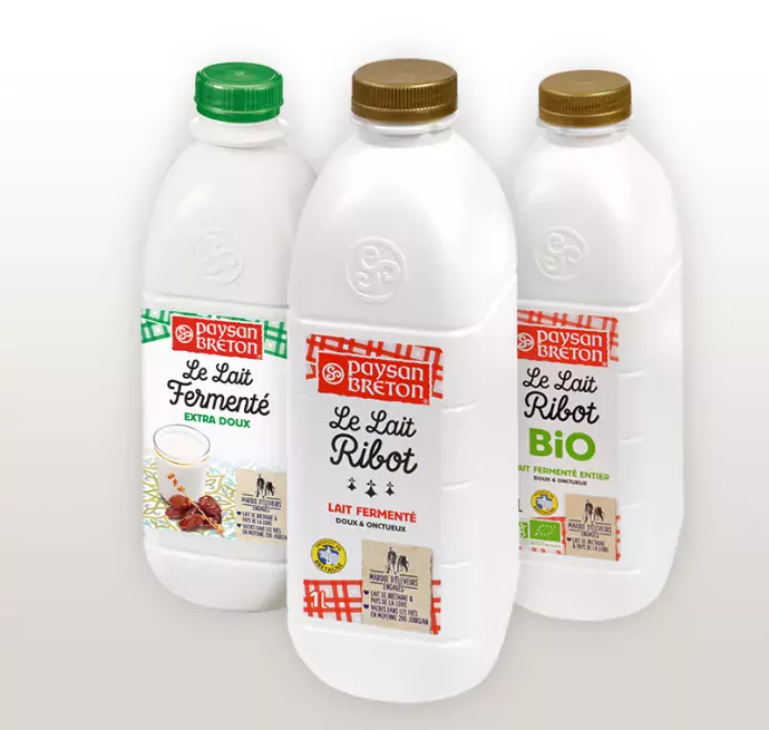 Our fermented milk