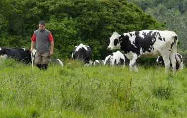 Eric talks about heifers, tomorrow's dairy cows