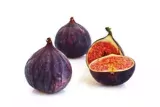 Fig