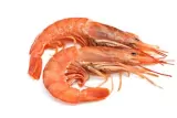 Gambas