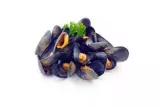 Moules