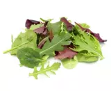 Mesclun