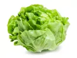 Lettuce