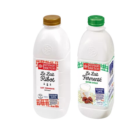 Nos laits fermentés