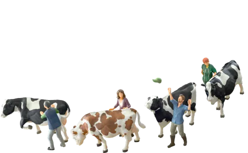 cows-and-farmers